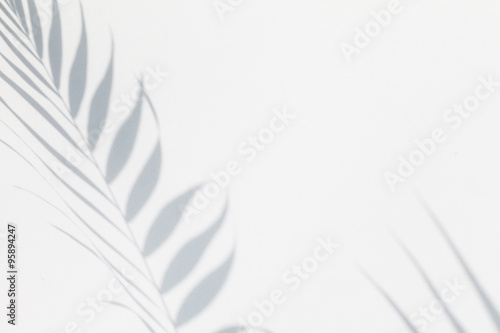 Foto shadow of palm leaves
