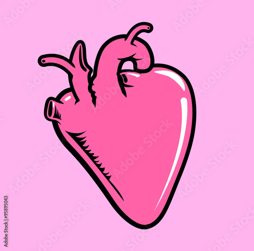 heart