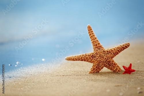 Starfish on seascape background