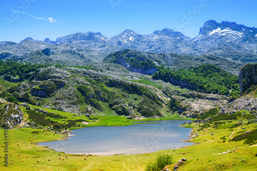 summer lake  in Asturias
