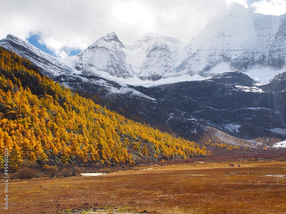   The Autumn at Yading Nature Reserve in Daocheng County ,China