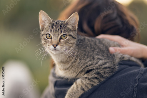 Fototapeta Naklejka Na Ścianę i Meble -  Woman holding in her shoulder a common cat, outdoors.