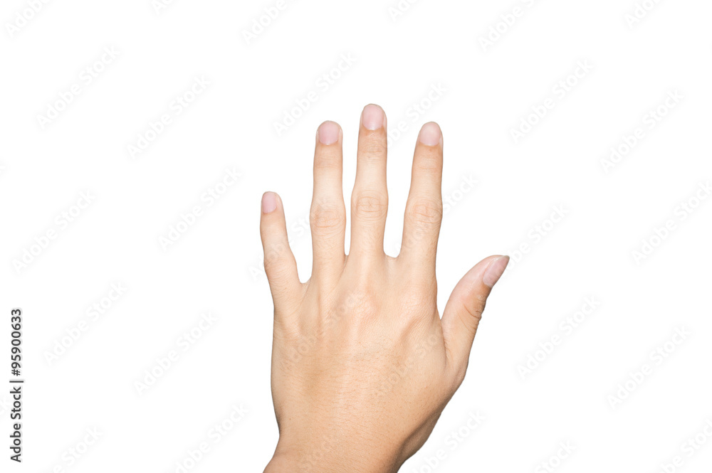 Obraz premium Hand on white background