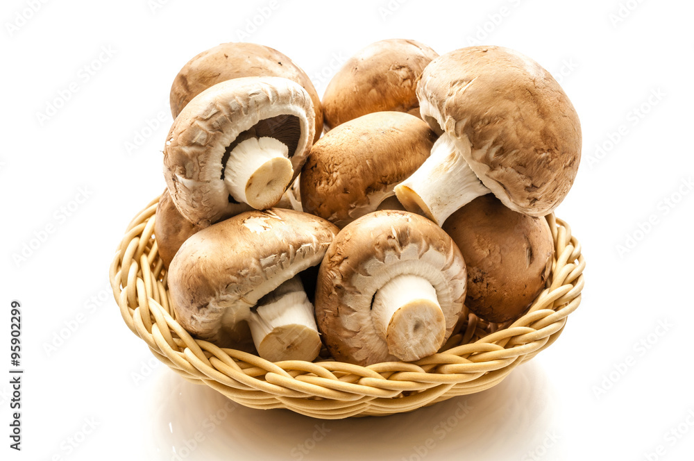 Brauner Bio Champignon Brauner Bio Champignon