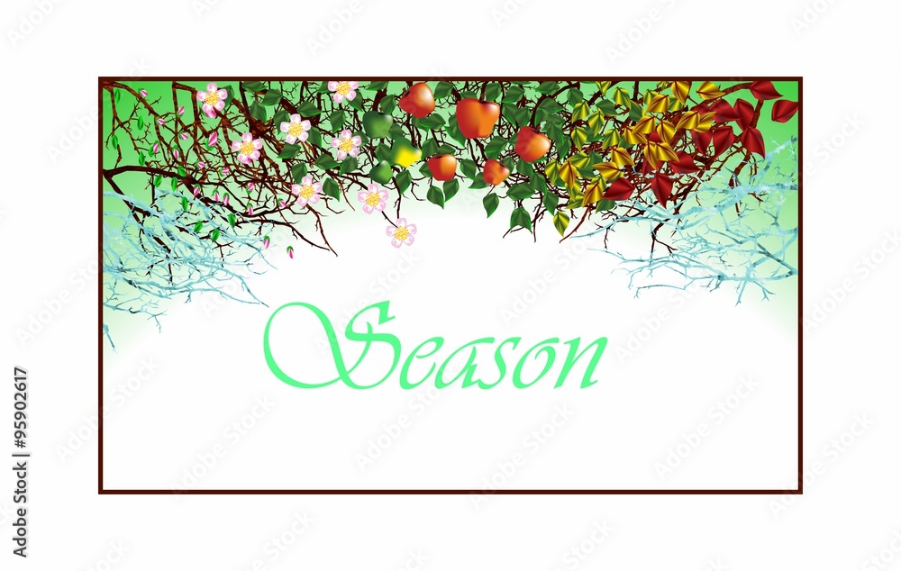 Fototapeta premium Four seasons.Apple tree,all year round.