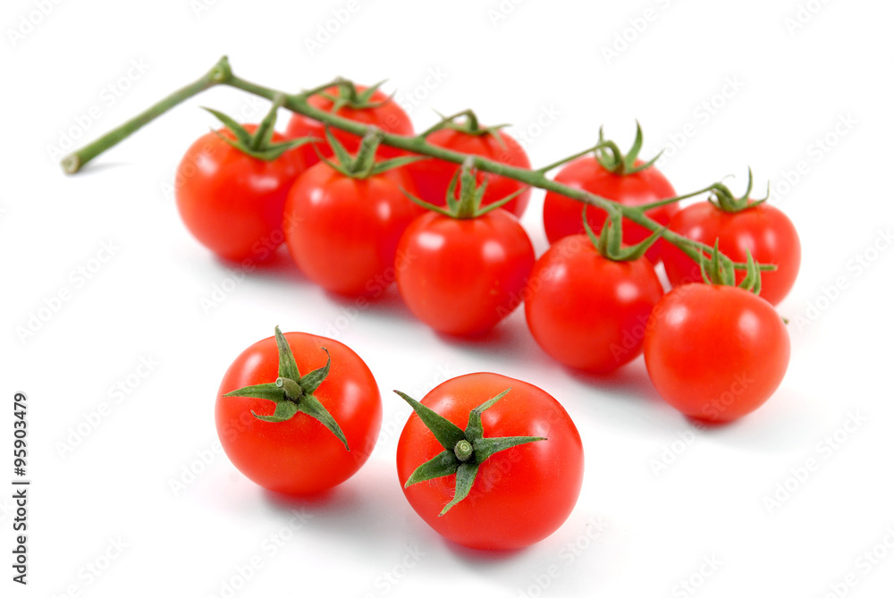 Grappolo e pomodori singoli su sfondo bianco Grappolo e pomodori singoli su sfondo bianco