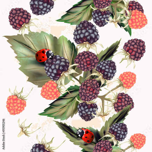 Vector seamless vector pattern with raspberry for design
