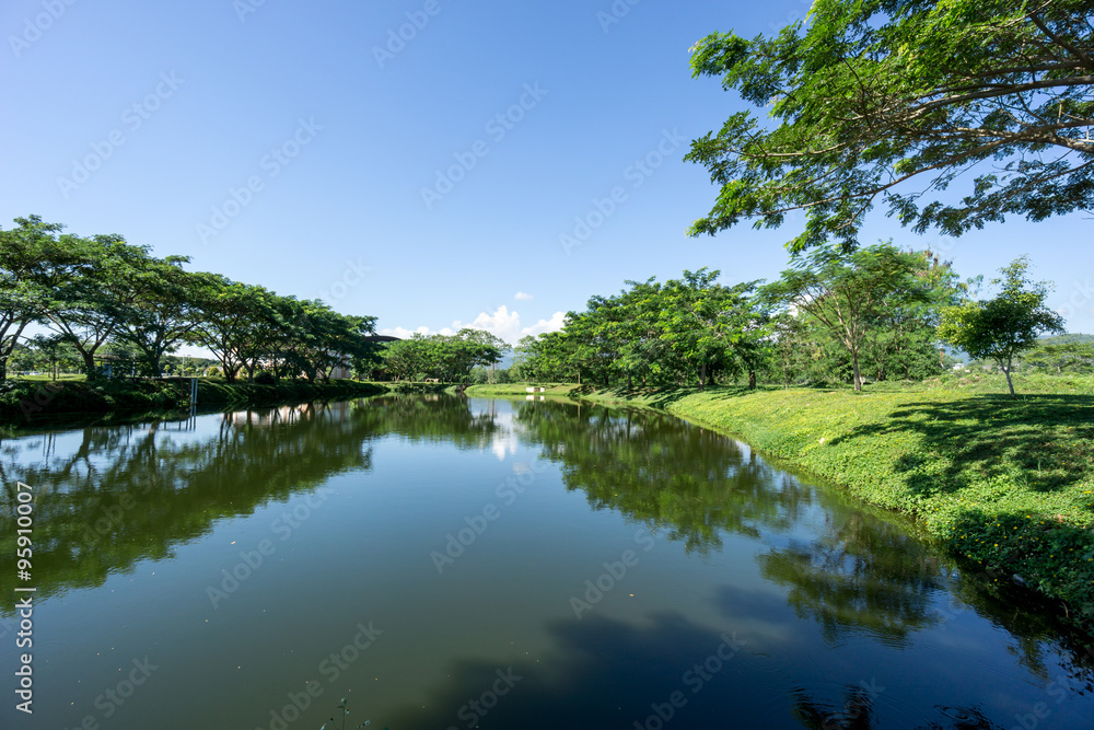 Lake and forest