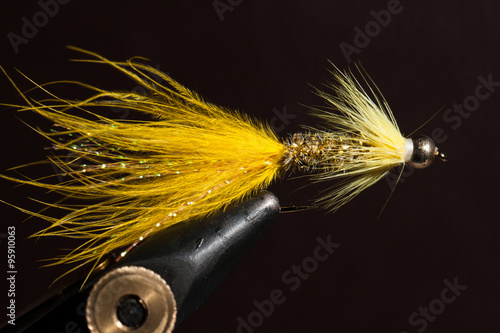 Fotografia Yellow wooly bugger