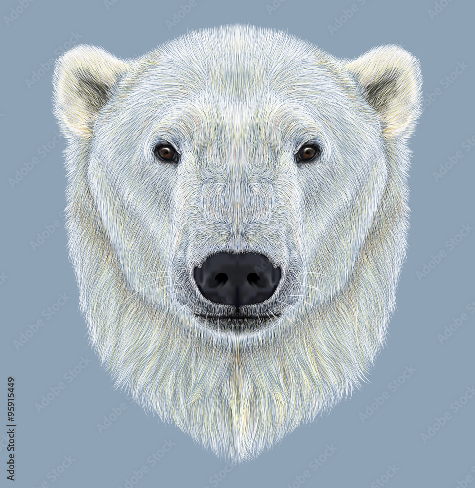 Fototapeta premium Illustrated Portrait of Polar Bear