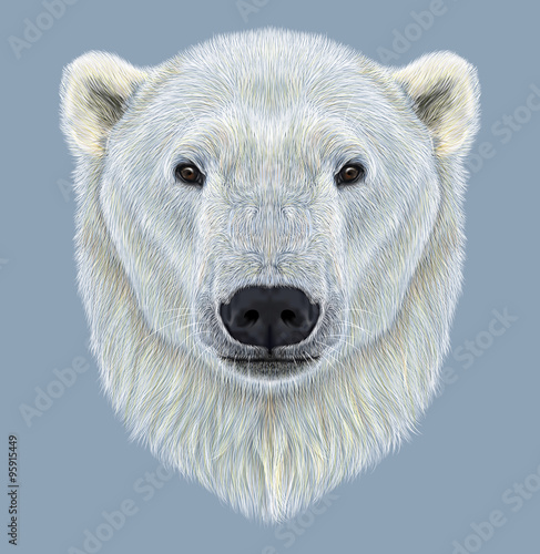 Illustrated Portrait of Polar Bear