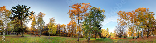 Forest autumn panorama in park #95916619