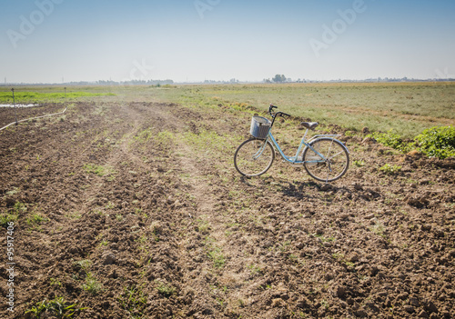 Bike in meadow,Iraqi countryside in fall season