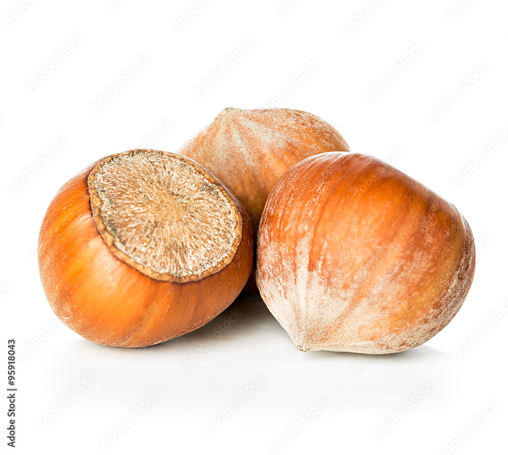 Hazelnuts isolated on white background Hazelnuts isolated on white background
