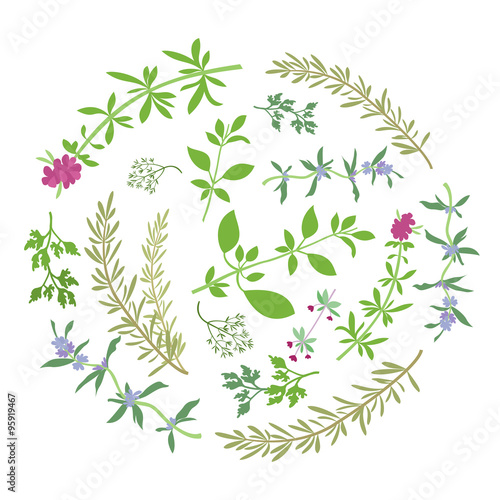 Round Composition With Aromatic Herbs
