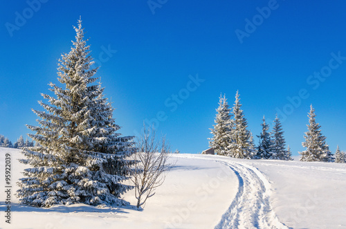 Fairytale winter landscape with snow-covered trees © A.Jedynak
