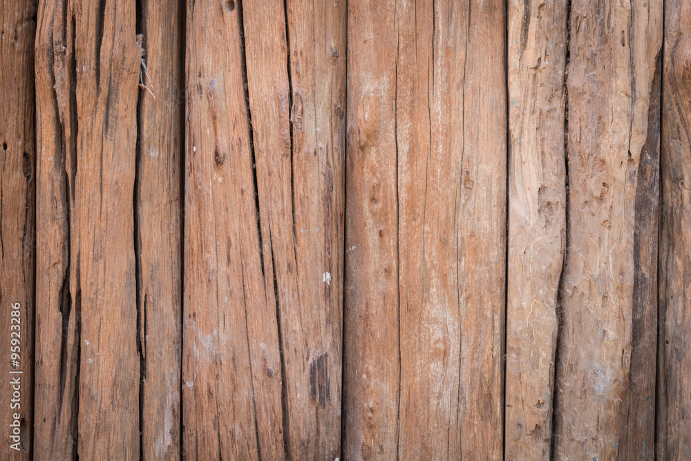 texture old tree wood texture old tree wood