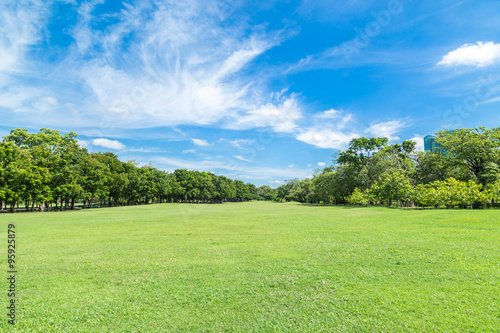 Green grass field in big city park © kinwun