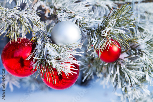 Foto fur-tree branch with Christmas balls