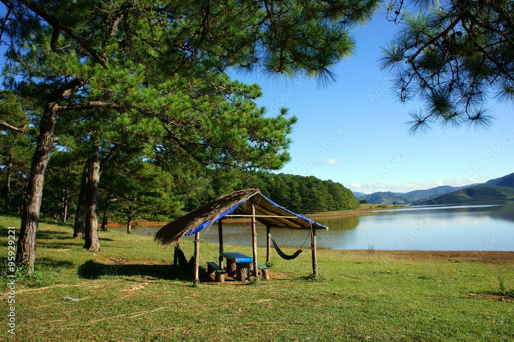 Dalat, Suoi Vang, travel, pine forest, ecotourism Dalat, Suoi Vang, travel, pine forest, ecotourism