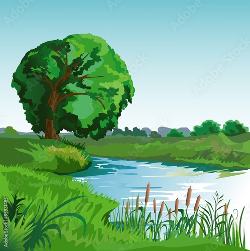 Summer landscape with river