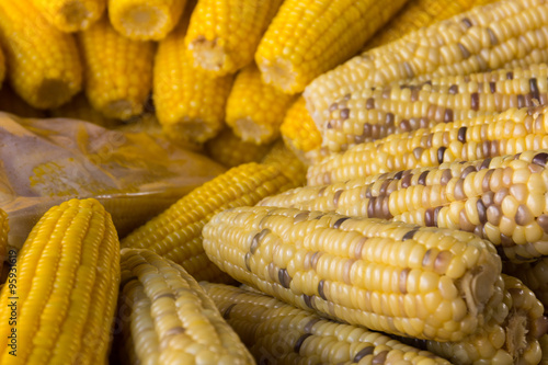 closeup bolied corn on tray in market