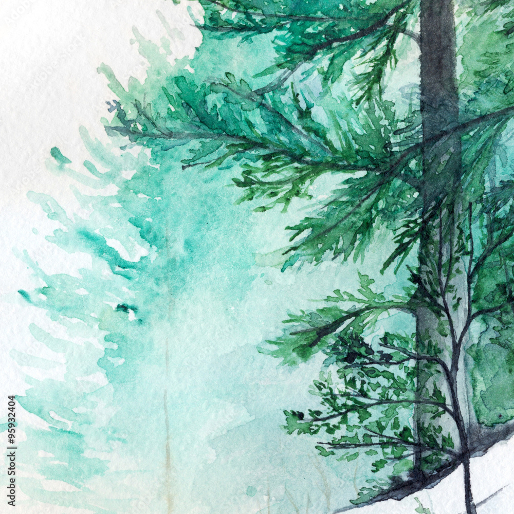 Obraz Zimowy las sosnowy krajobraz