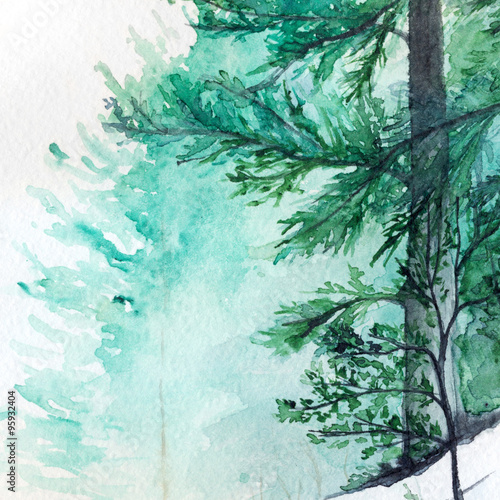 Obraz na płótnie Zimowy las sosnowy krajobraz