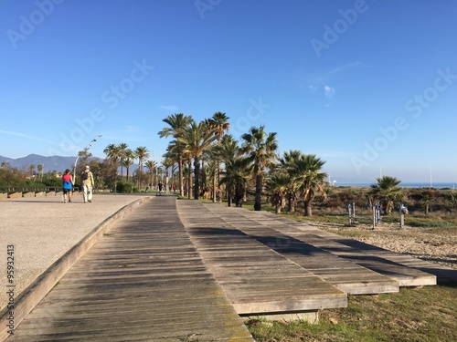 Paseo con palmeras cerca de la playa