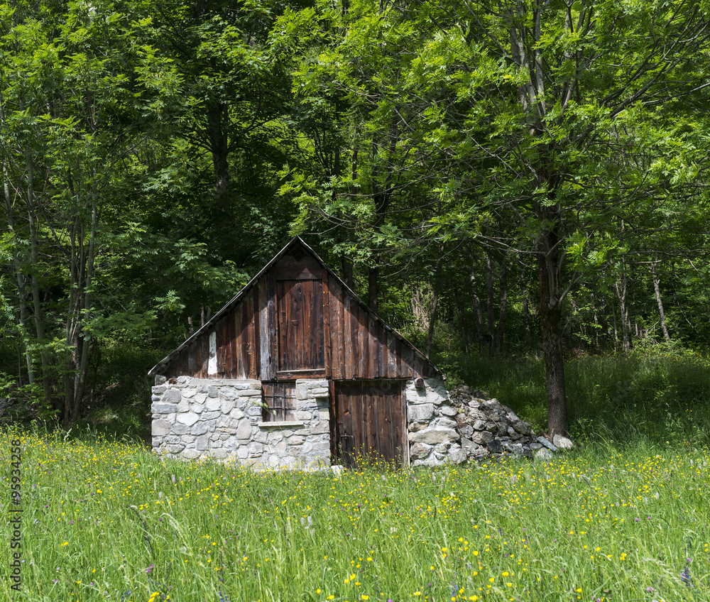 Fototapeta premium Little cottage in the Alps