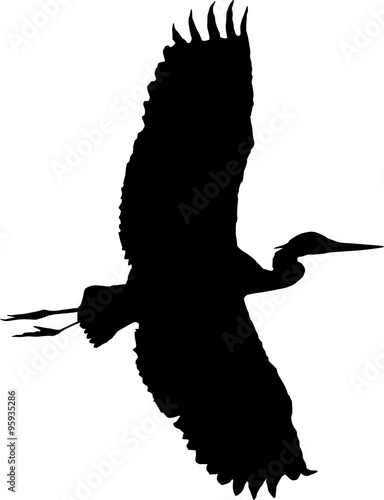 Flugsilhouette eines Reihers