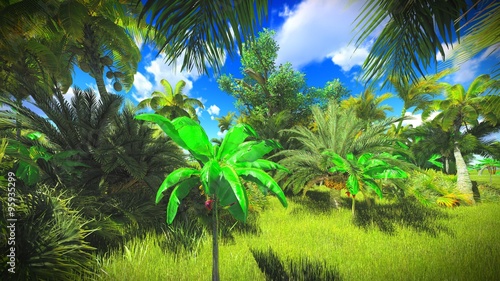 Lush vegetation in jungle