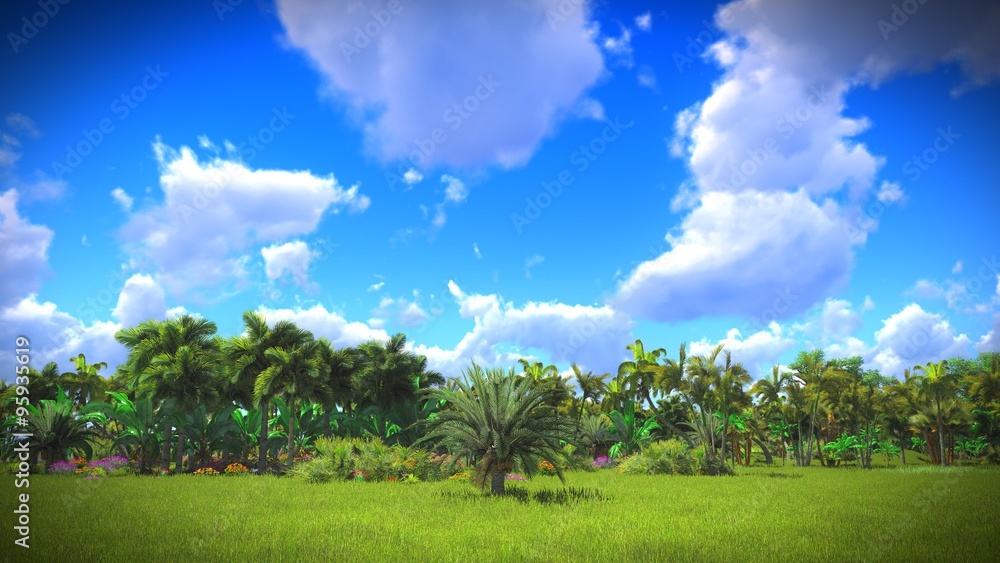 Fototapeta premium Lush vegetation in jungle