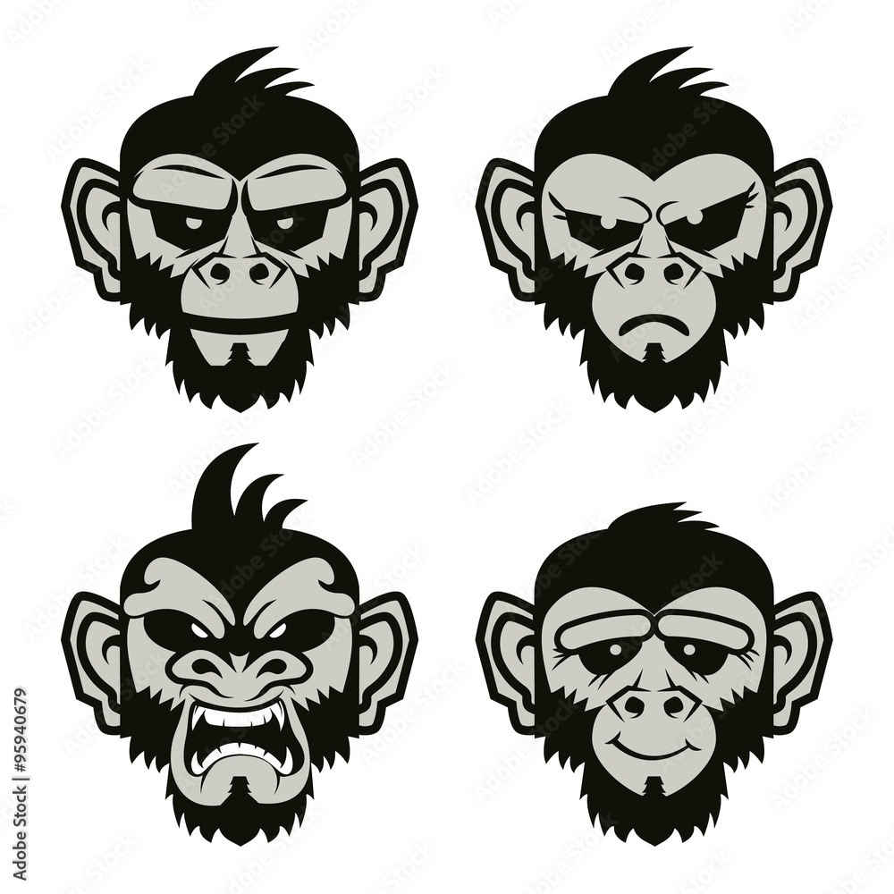 Fototapeta premium monkeys