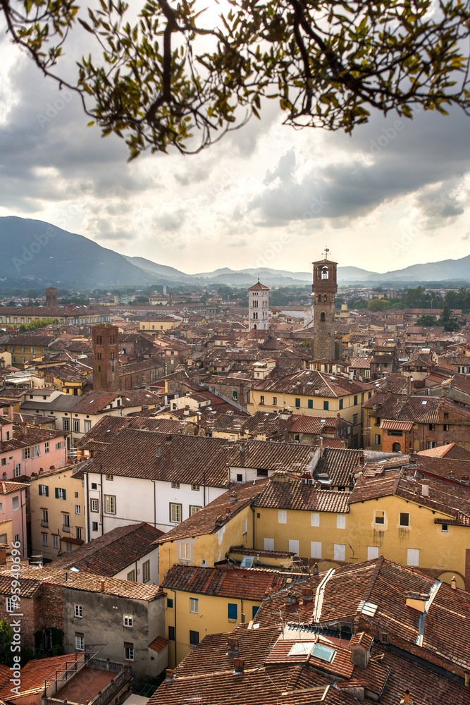 Panorama of Lucca from the Torre Guinigi, Italy
