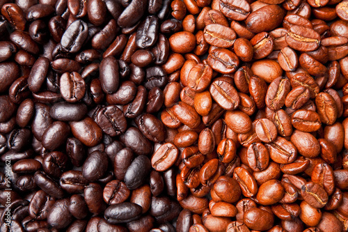 coffee bean background