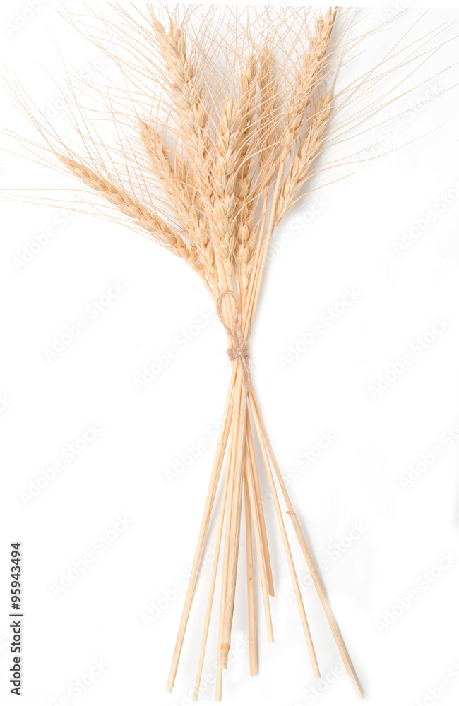 Fototapeta premium ears of wheat on a white background
