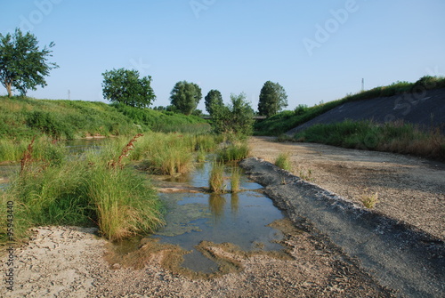 Grass in Partially Dried River Bed 
