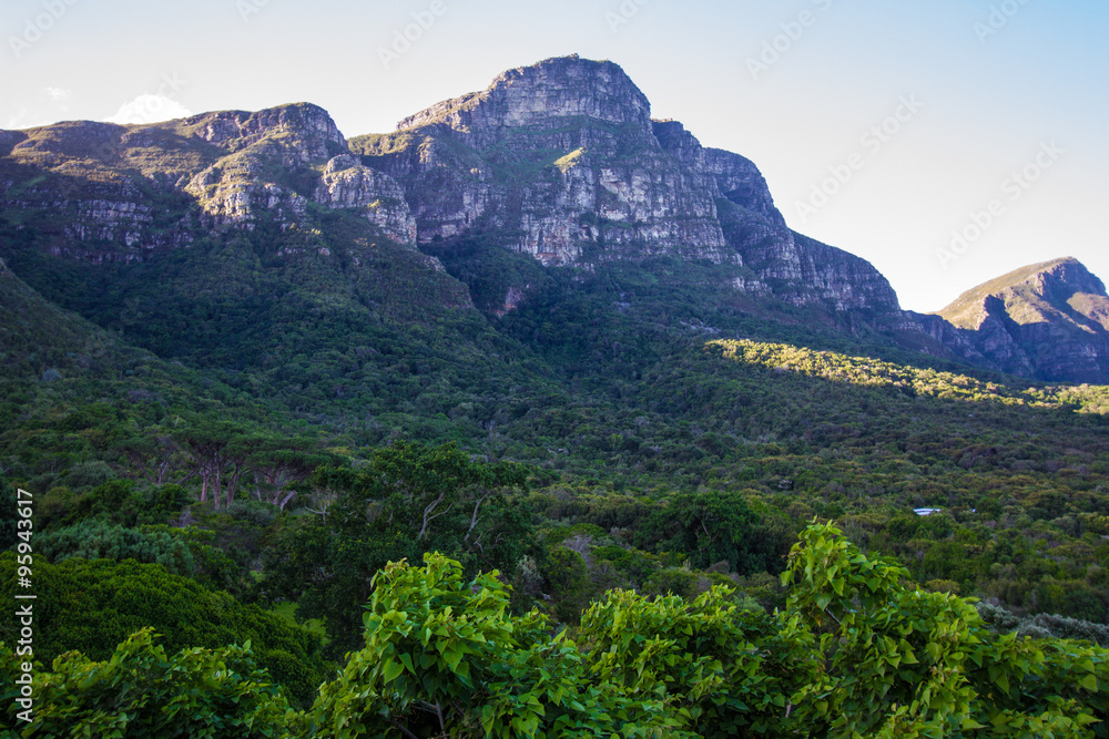 Rund um den Tafelberg
