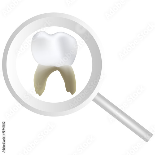 a molar tooth under the care