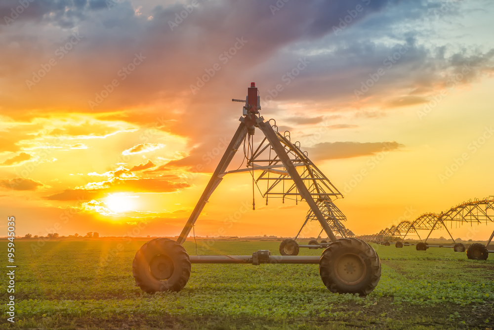 Automated farming irrigation system in sunset Automated farming irrigation system in sunset