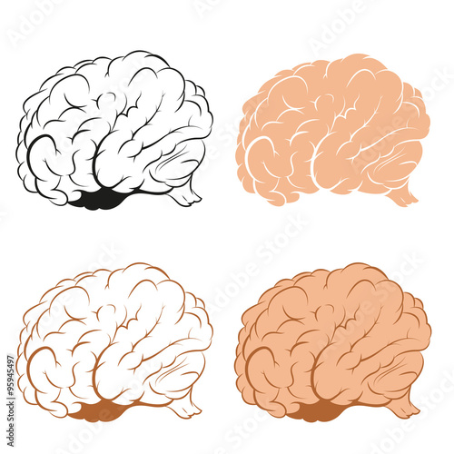Set of Brains