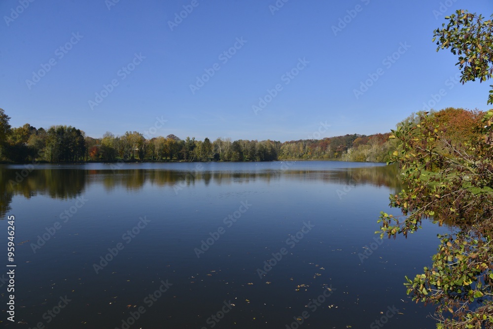 Le grand étang sous un ciel bleu d'automne de la Hulpe dans la forêt de Soignes