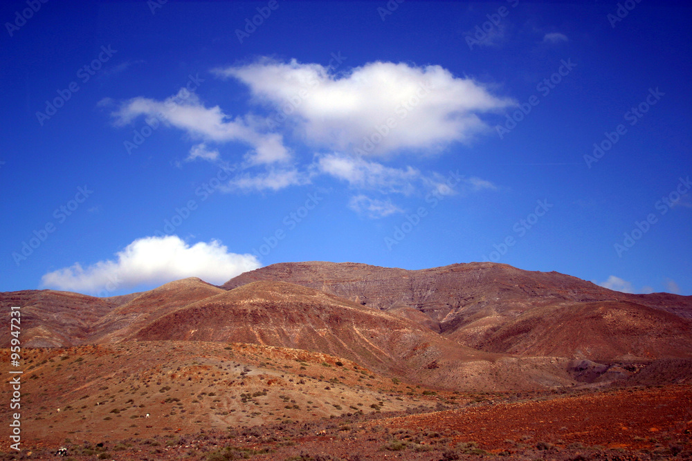 Naklejka premium Spagna,isola di Fuerteventura.