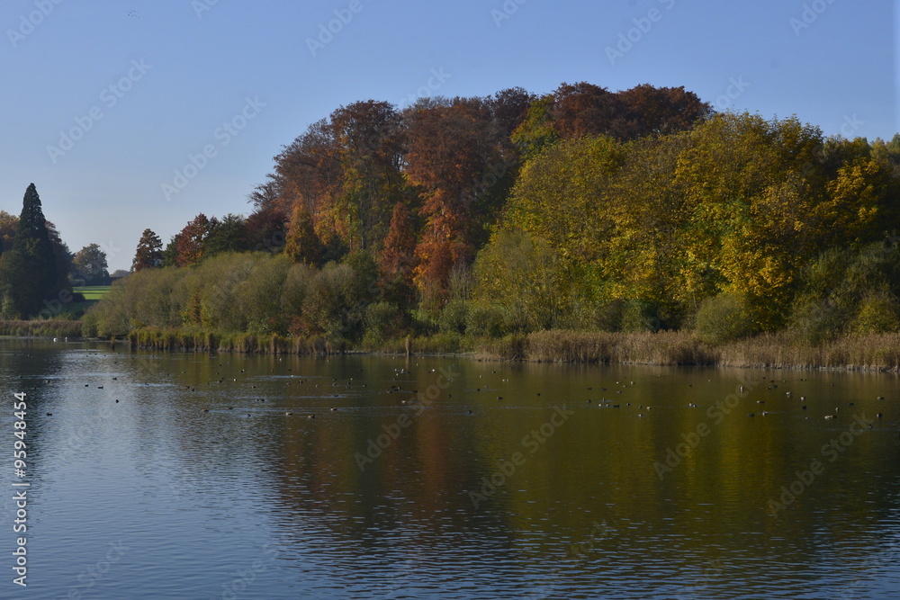 La végétation en automne le long de l'étang du Gris Moulin à le Hulpe La végétation en automne le long de l'étang du Gris Moulin à le Hulpe