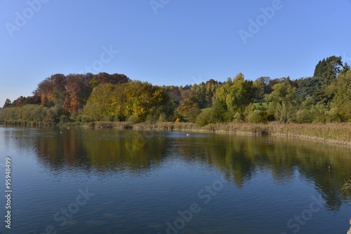 L'étang du Gris Moulin et sa végétation sauvage en automne