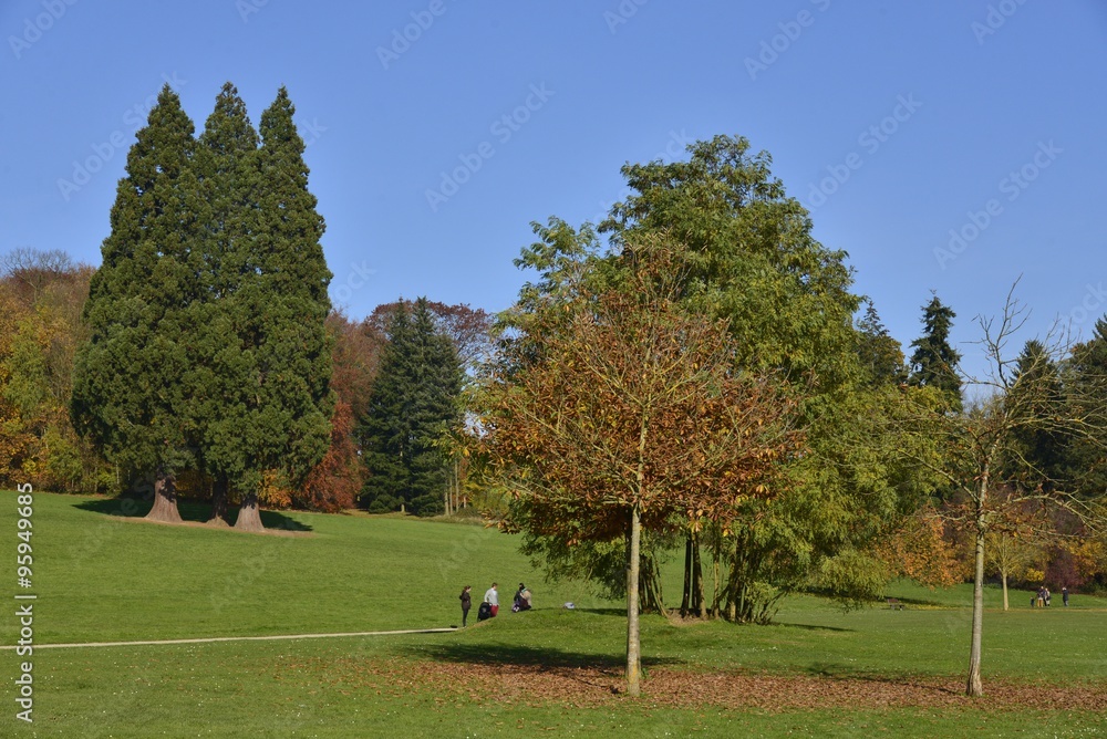 Les arbres en automne à l'une des grandes pelouses du parc Solvay de la Hulpe Les arbres en automne à l'une des grandes pelouses du parc Solvay de la Hulpe