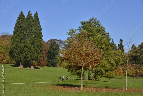 Les arbres en automne à l'une des grandes pelouses du parc Solvay de la Hulpe © Photocolorsteph