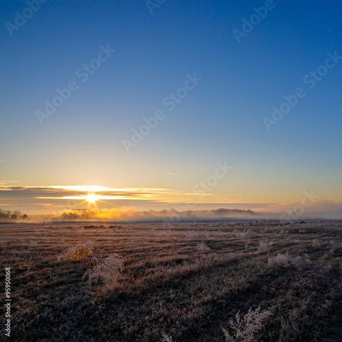 Sunrise over the meadow with grass covered with frost.