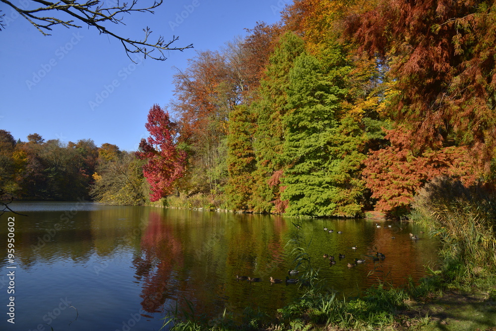 Les couleurs magiques de l'automne à l'étang de la Longue Queues au parc Solvay